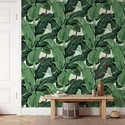 Banana Leaf Wallpapers