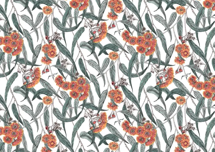 Eucalyptus Dreams