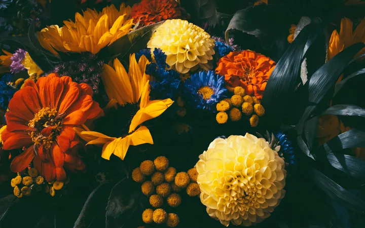 Warm Colors